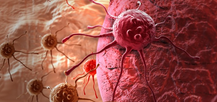 cancer cell