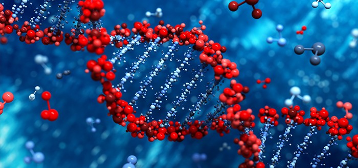 High ERCC1 Expression May Mean Longer Mesothelioma Survival