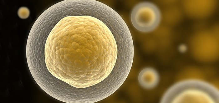 Mesothelioma Slowed by Isolated Thoracic Perfusion Plus Chemofiltration