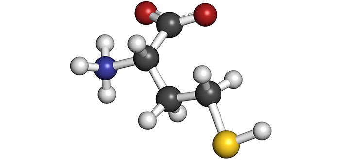 mesothelioma biomarker