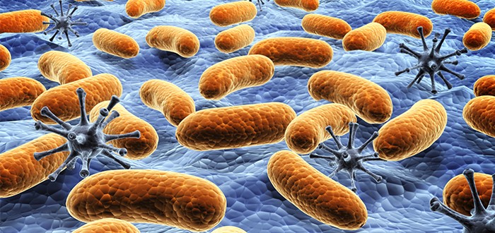 Mesothelioma Heparanase-Inhibition Theories Will Be Put to the Test